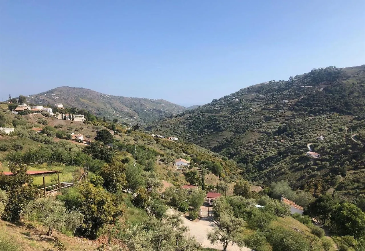 Casa Olivia Villa Competa